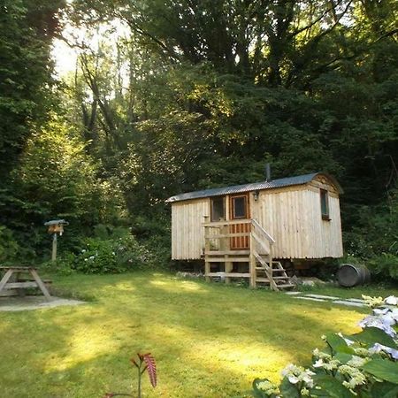 'Morris' The Shepherd'S Hut And Woodland Hot Tub Experience Кармартен Экстерьер фото