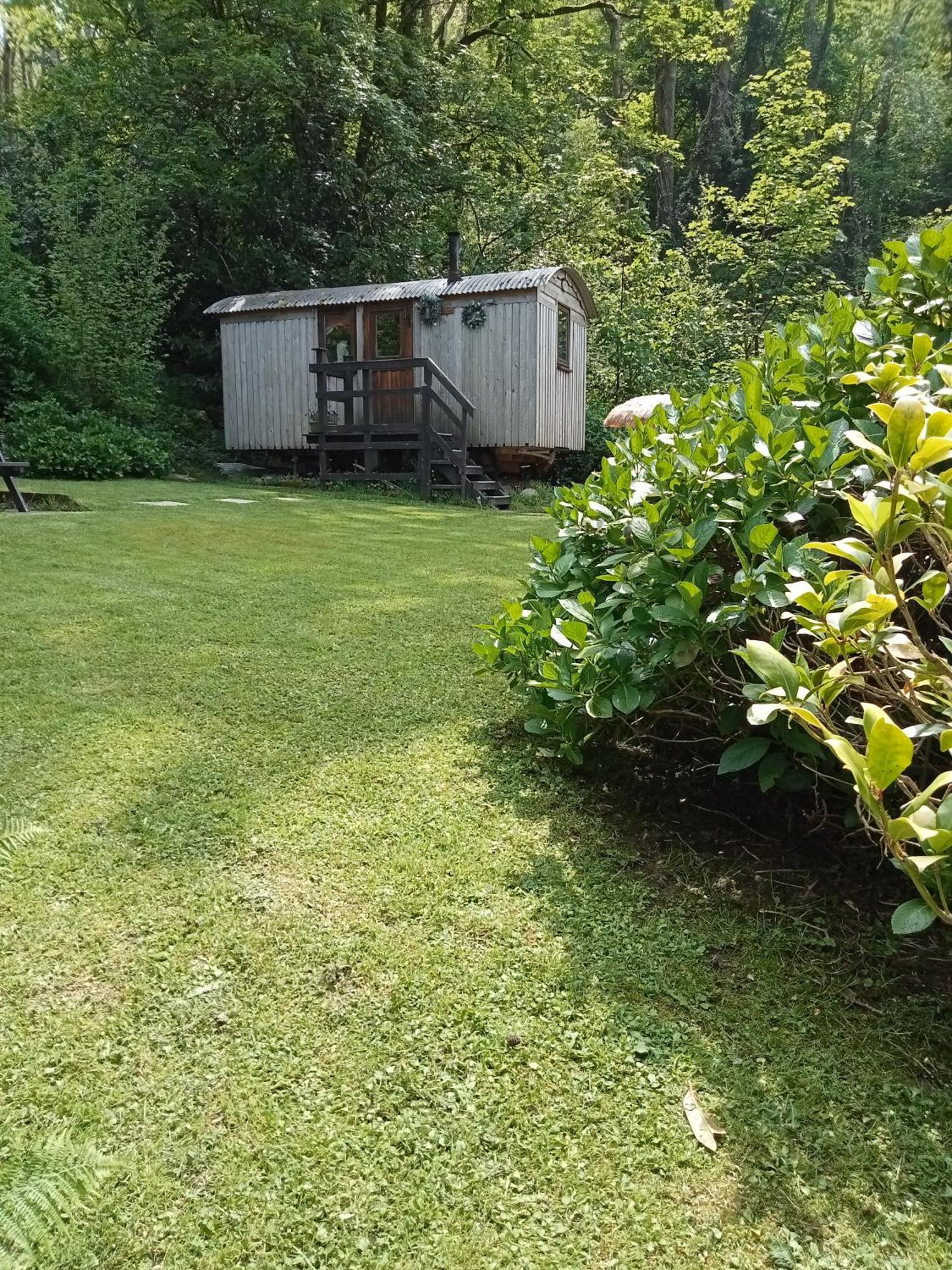 'Morris' The Shepherd'S Hut And Woodland Hot Tub Experience Кармартен Экстерьер фото