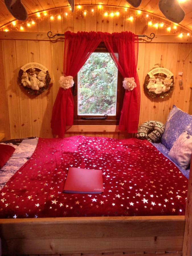 'Morris' The Shepherd'S Hut And Woodland Hot Tub Experience Кармартен Экстерьер фото