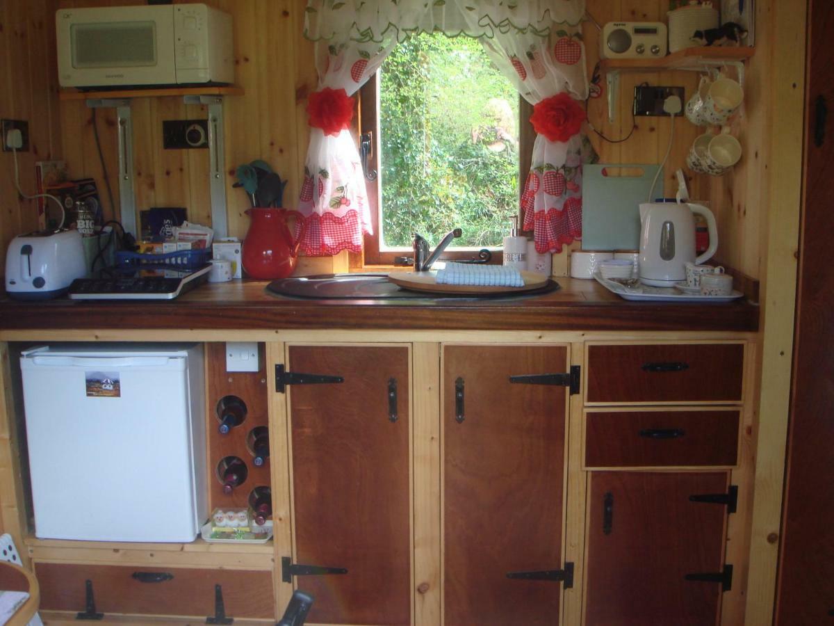 'Morris' The Shepherd'S Hut And Woodland Hot Tub Experience Кармартен Экстерьер фото