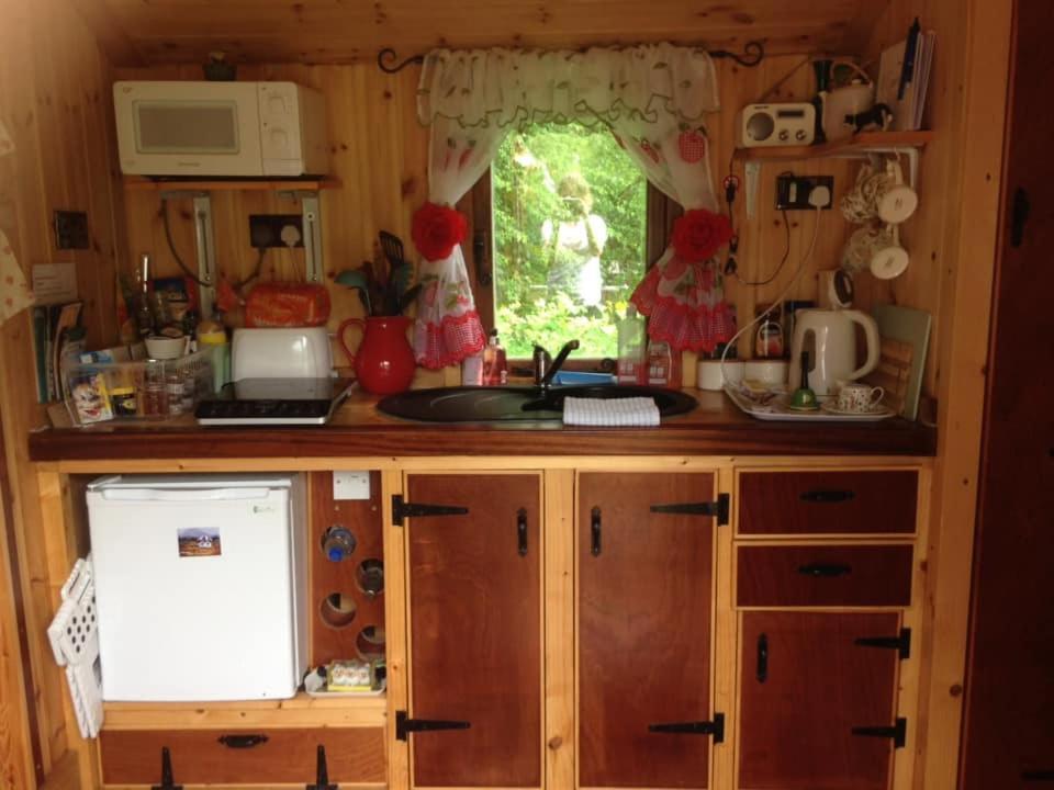 'Morris' The Shepherd'S Hut And Woodland Hot Tub Experience Кармартен Экстерьер фото