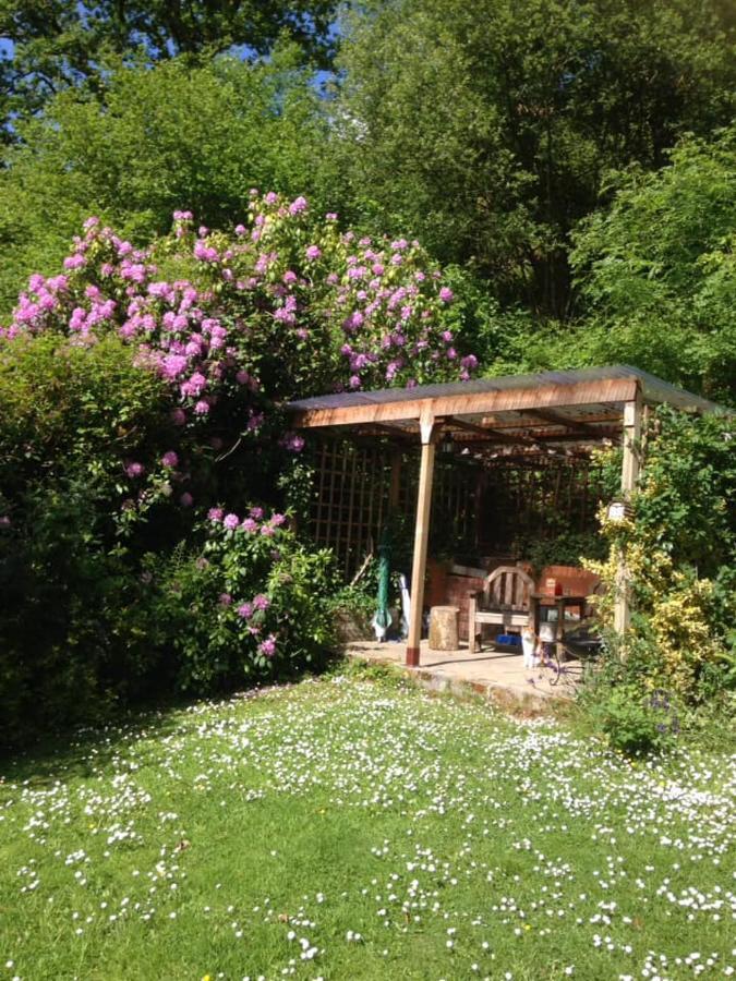 'Morris' The Shepherd'S Hut And Woodland Hot Tub Experience Кармартен Экстерьер фото