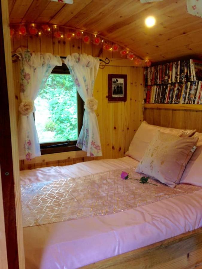 'Morris' The Shepherd'S Hut And Woodland Hot Tub Experience Кармартен Экстерьер фото